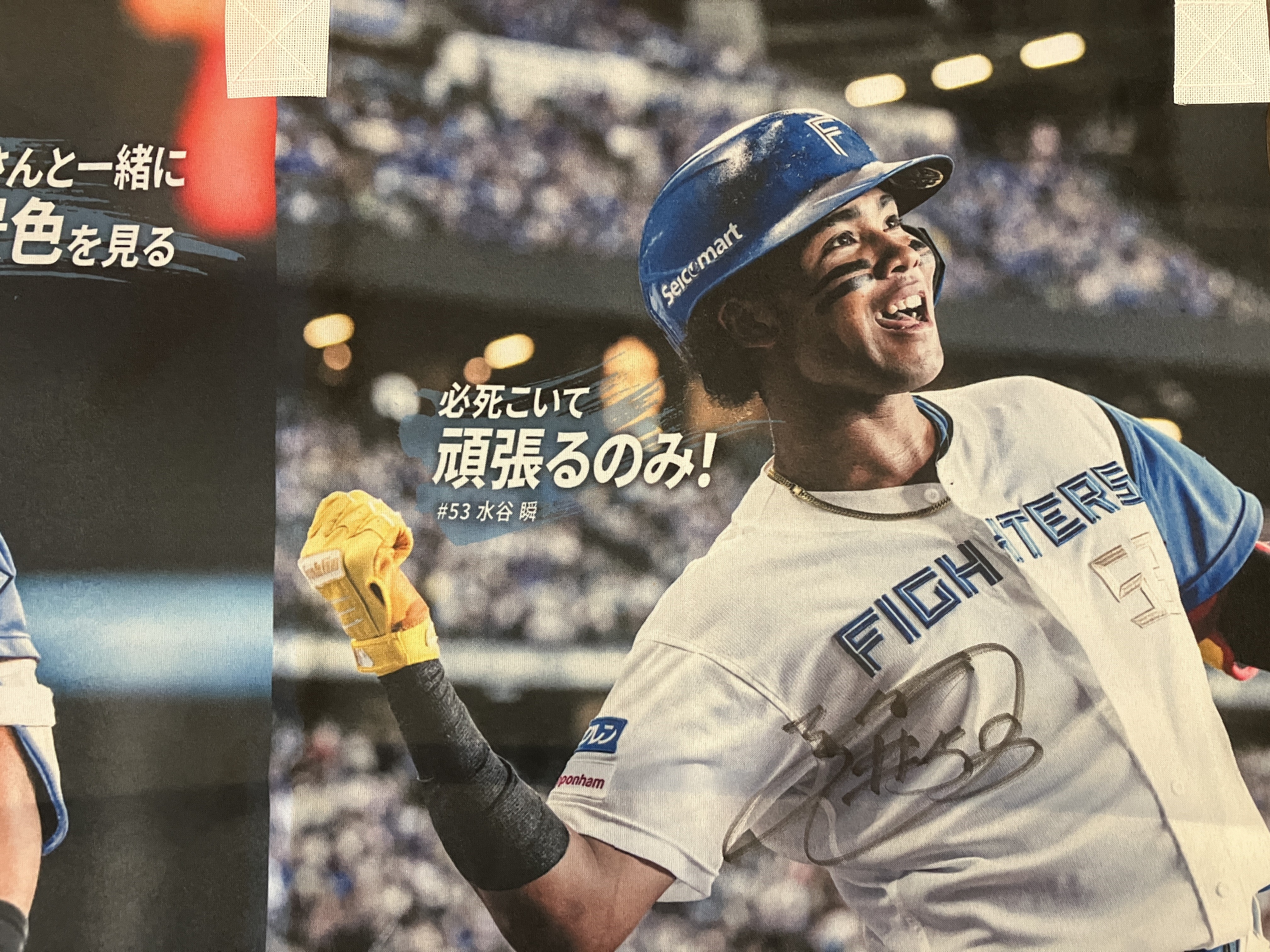 返礼品をさがす | ファイターズふるさと納税