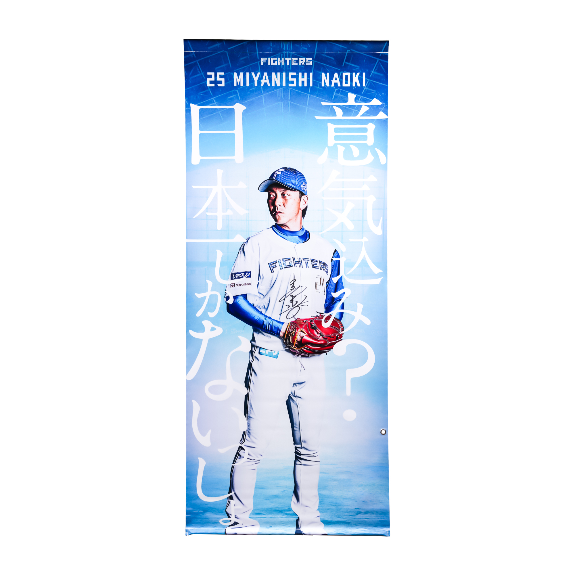 返礼品をさがす | ファイターズふるさと納税