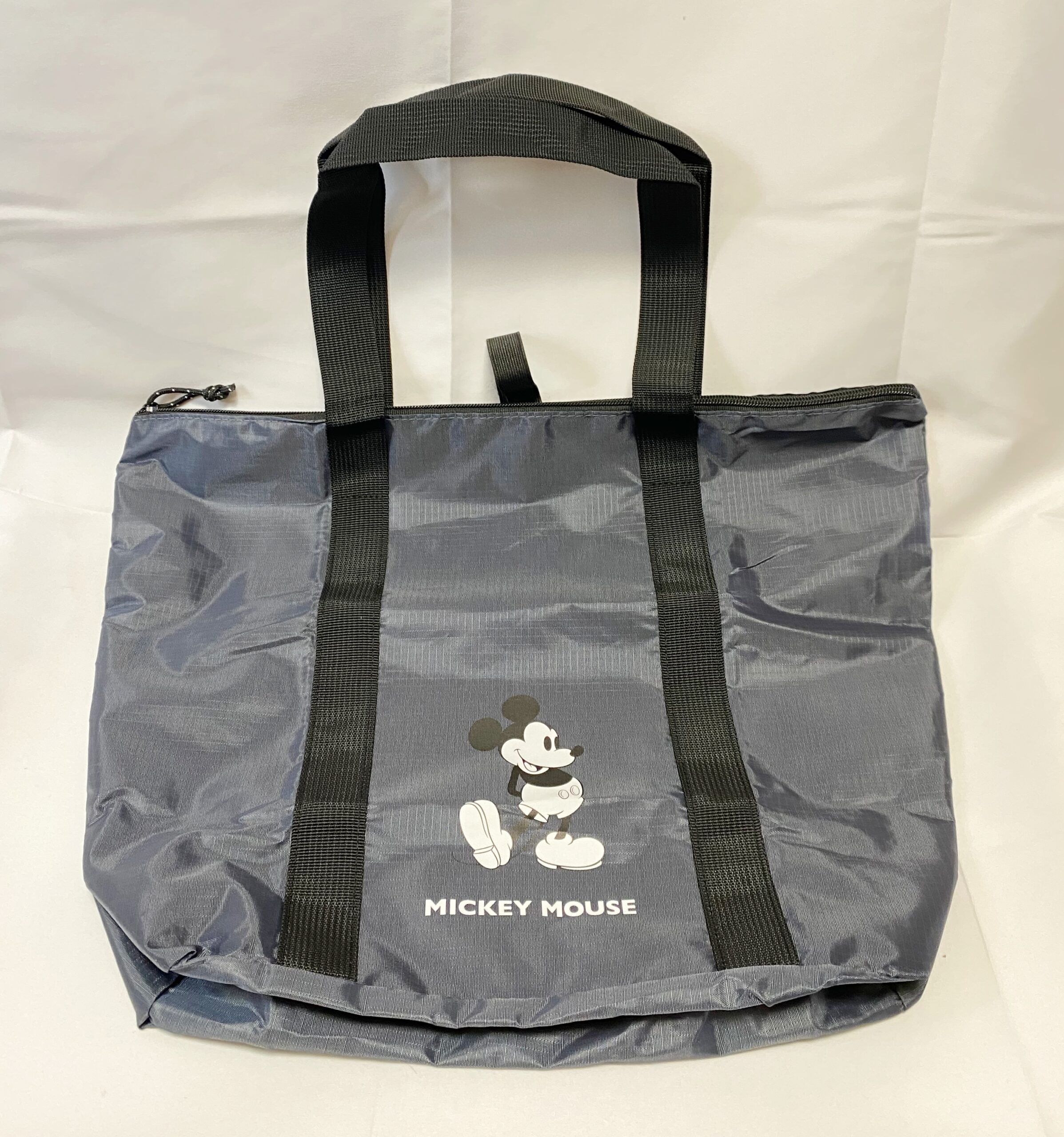 フラゲレビュー】SPRiNG（スプリング）2025年2月号《特別付録》MICKEY