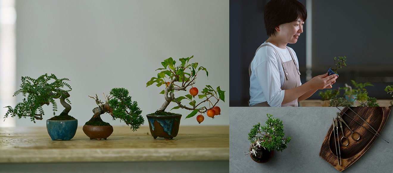 手のひらサイズの小さな鉢に宿る美しく可憐な命～ミニ盆栽～｜山崎