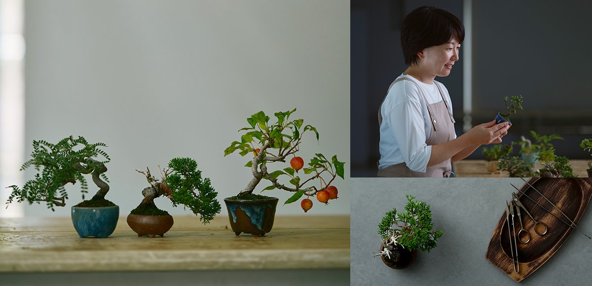 手のひらサイズの小さな鉢に宿る美しく可憐な命～ミニ盆栽～｜山崎