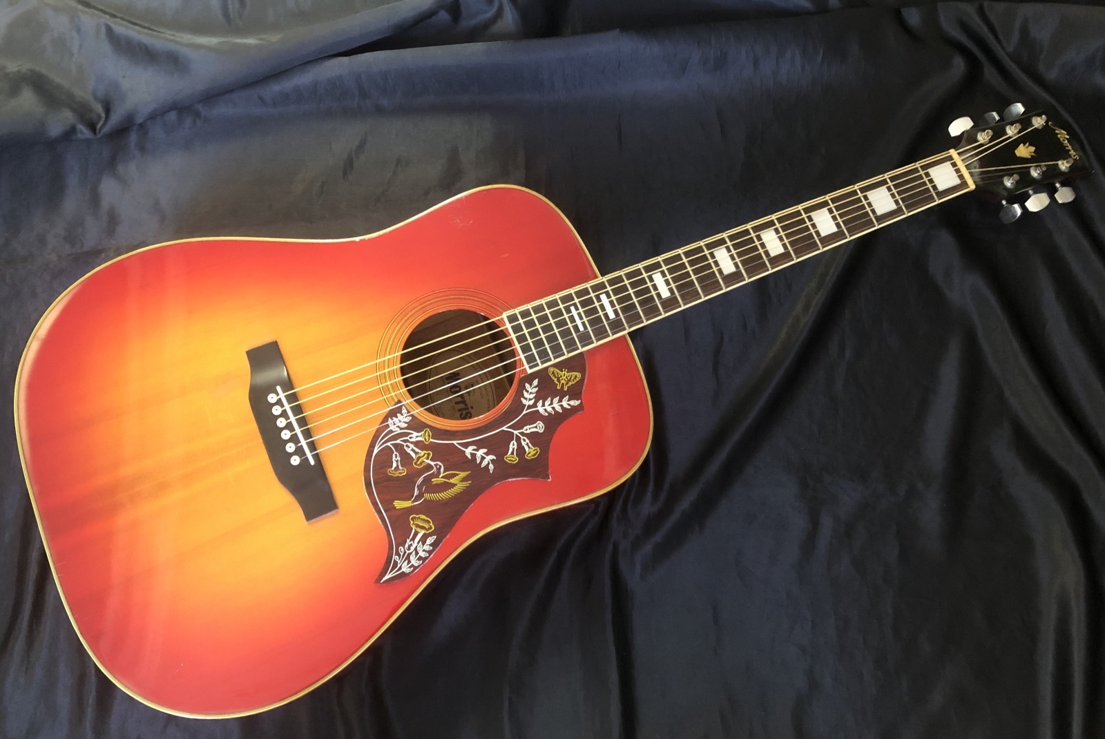 Morris / WH-25 ハミングバード 日本製 - HR/HMギター専門店 FUTURE WORLD