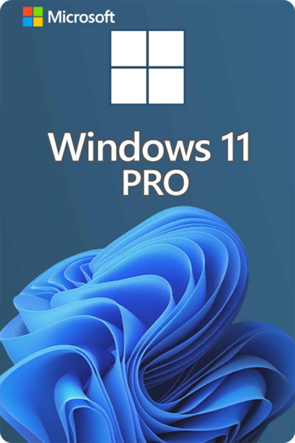 Microsoft Windows 11 Professional License for 3 devices - Los Angeles