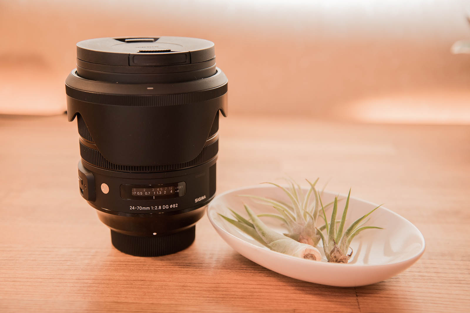 SIGMAの標準ズームレンズ「24-70mm F2.8 DG OS HSM Art」を購入！腕を