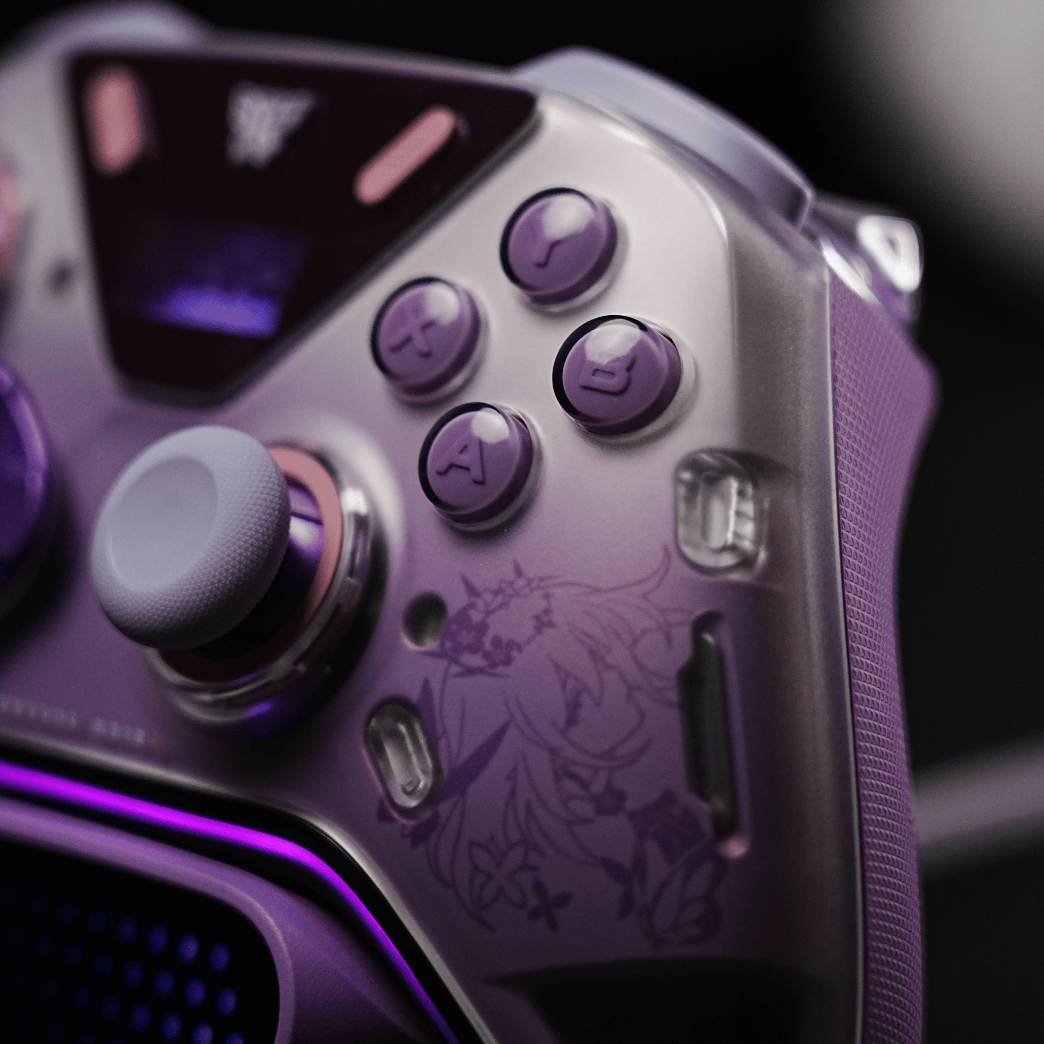 Flydigi APEX 5 Wireless Controller Honkai: Star Rail Castorice Limited