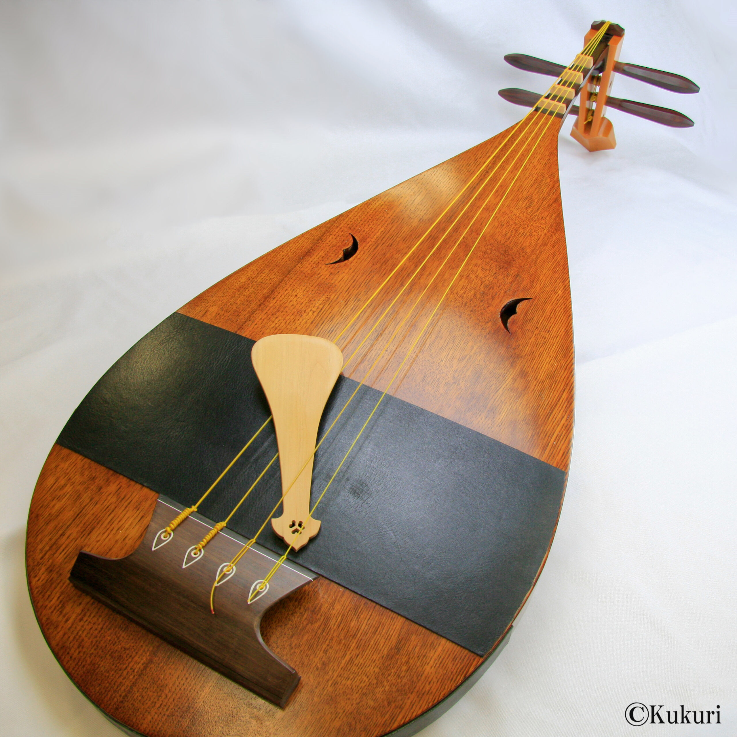 新企画スタートします☆「はじめての楽琵琶！体験ワークショップ