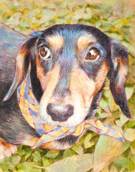 初秋を愉しむ|a043|【ギャラリー笑夢】☆動物アート販売.アクリル画