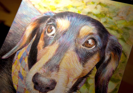 初秋を愉しむ|a043|【ギャラリー笑夢】☆動物アート販売.アクリル画