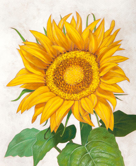ひまわり|a198|【ギャラリー笑夢】オリジナルアート販売.アクリル画
