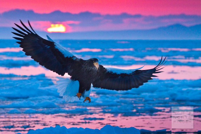 岸本 日出雄 | THE NORTH FINDER MEMBER'S GALLERY