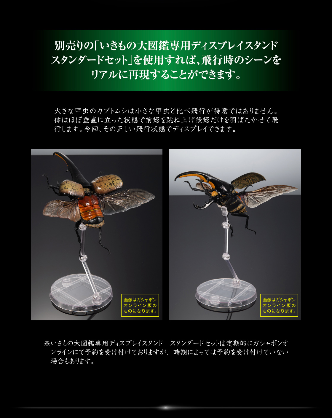 いきもの大図鑑アドバンス ヘラクレスオオカブト｜いきもの大図鑑