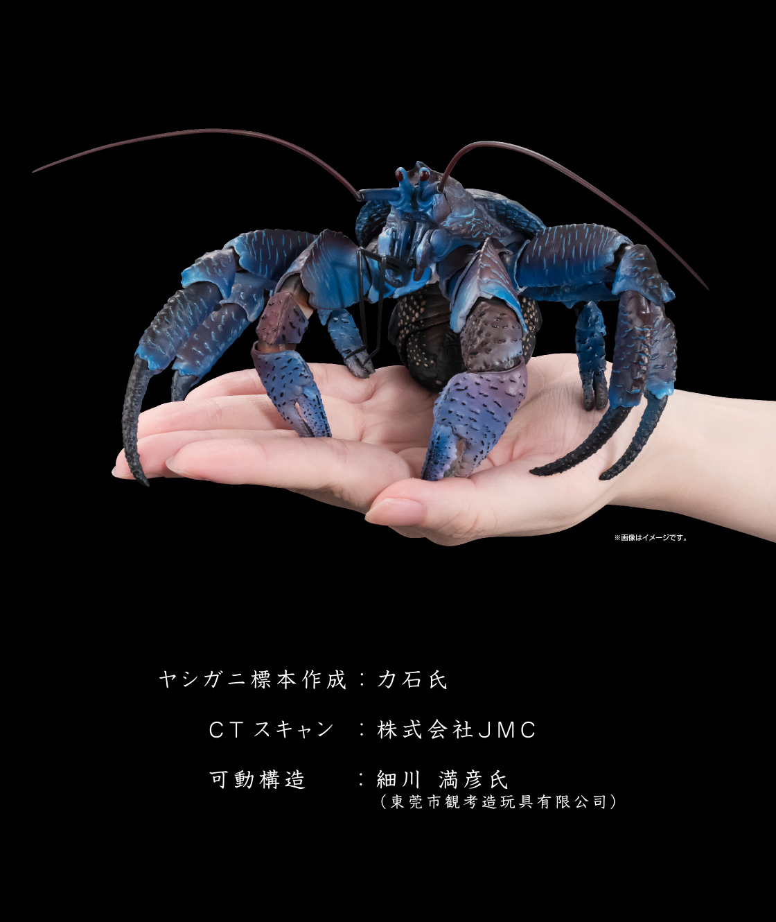 いきもの大図鑑プレミアム ヤシガニ｜いきもの大図鑑｜ガシャポン