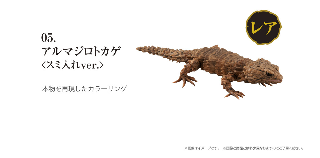 だんごむし 07｜いきもの大図鑑｜ガシャポンオフィシャルサイト