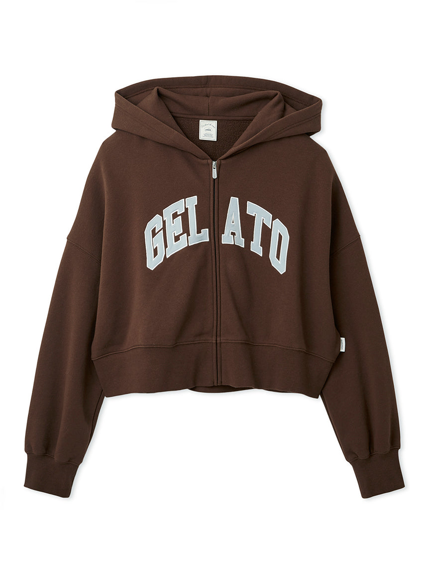 College Logo Hoodie