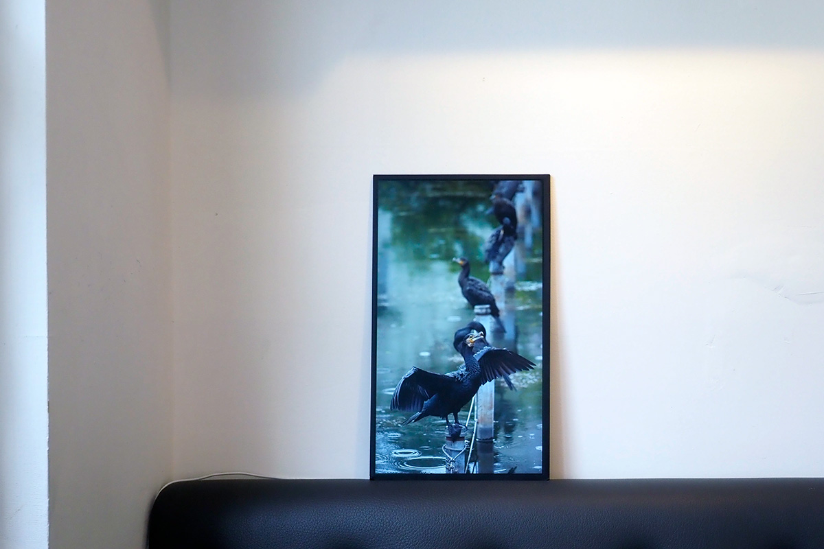 音楽を聴くように映像と動画を楽しむ! デジタルアートフレーム「Mono