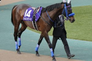 東京大賞典（G1）展望】国内制圧へ、世界のフォーエバーヤング登場