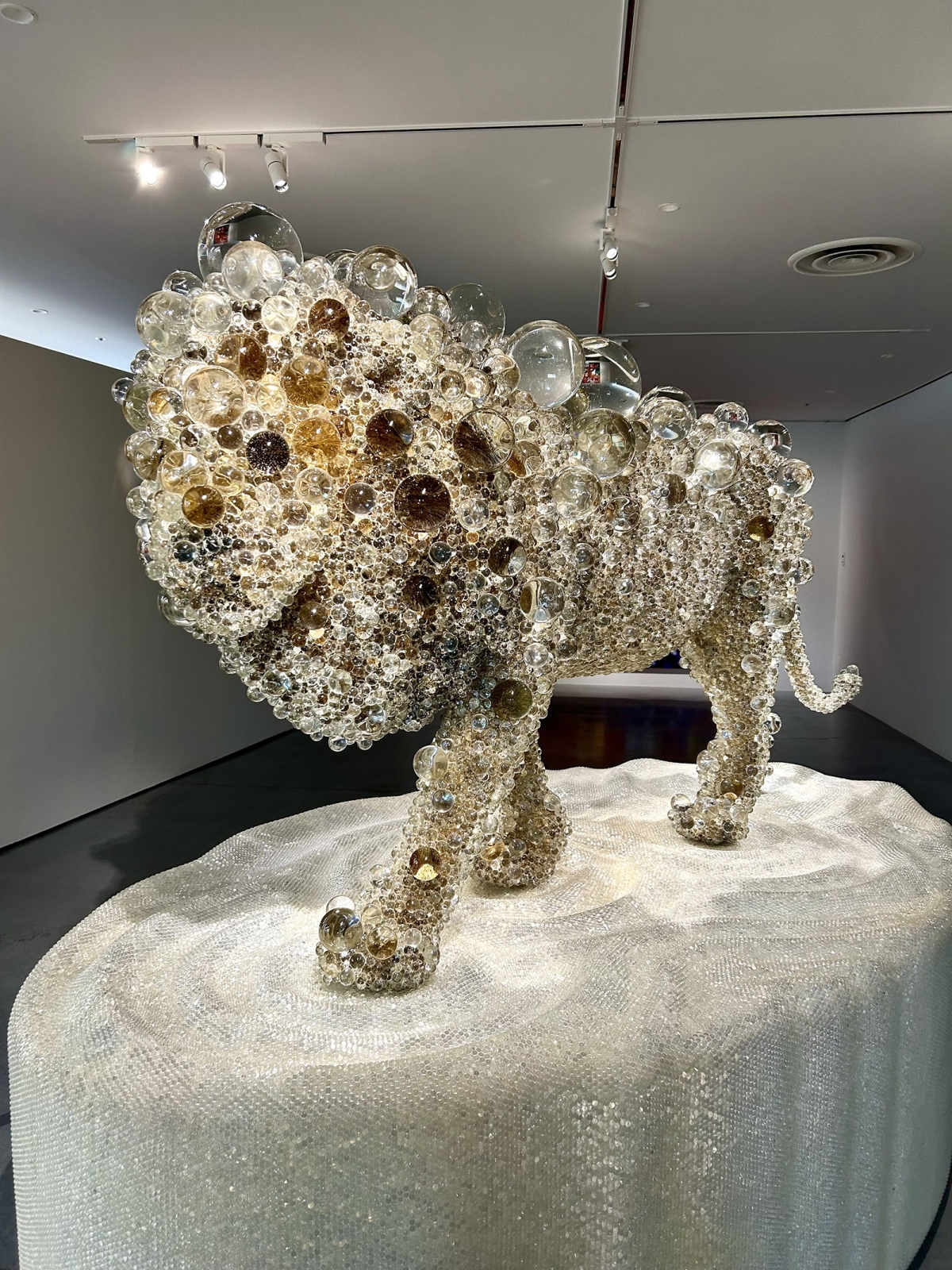 草間彌生、村上隆など重要作品多数！現代アートを総覧できる注目の展覧