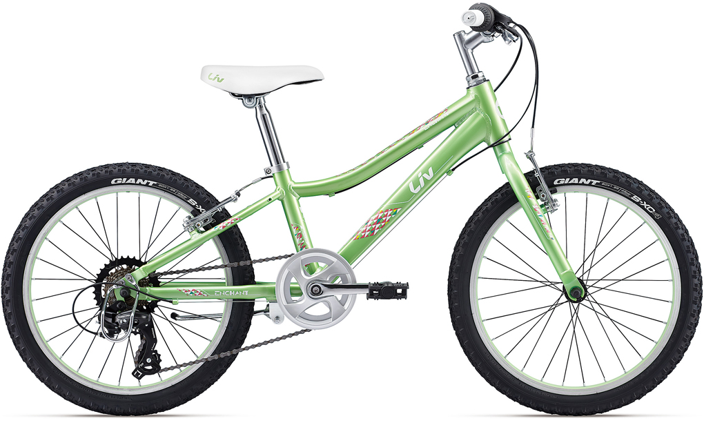 GIANT 子供用自転車 20インチ XTC GIANT(ジャイアント) XTC JR 20 LITE