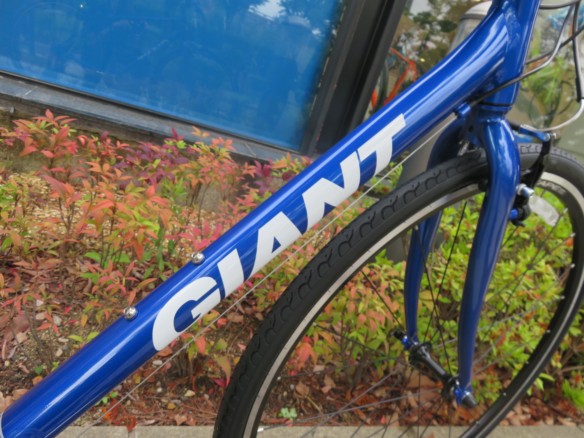 ESCAPE R3 2019モデルNEWカラー入荷！！ ｜ ジャイアントストア福岡