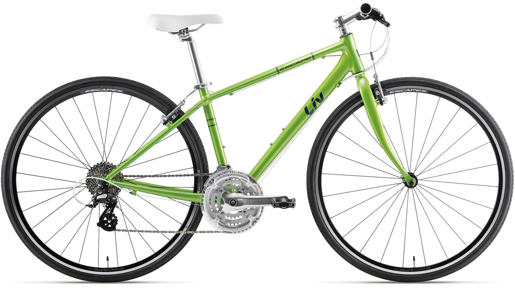 2018NEWモデル発表！早期受付中！ ｜ ジャイアントストア川越