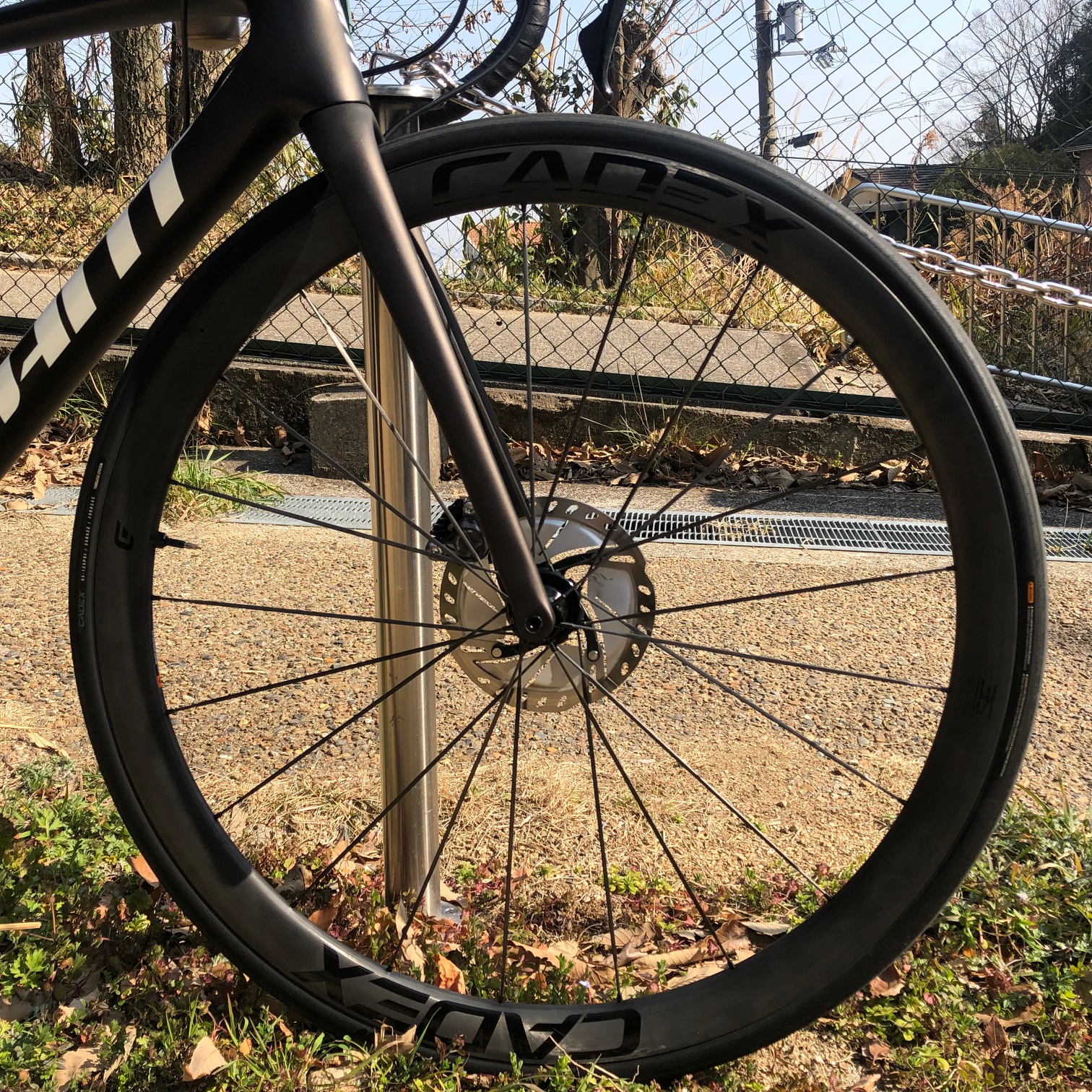 CADEX 36 DISC TUBELESS ホイールインプレッション ｜ ジャイアント