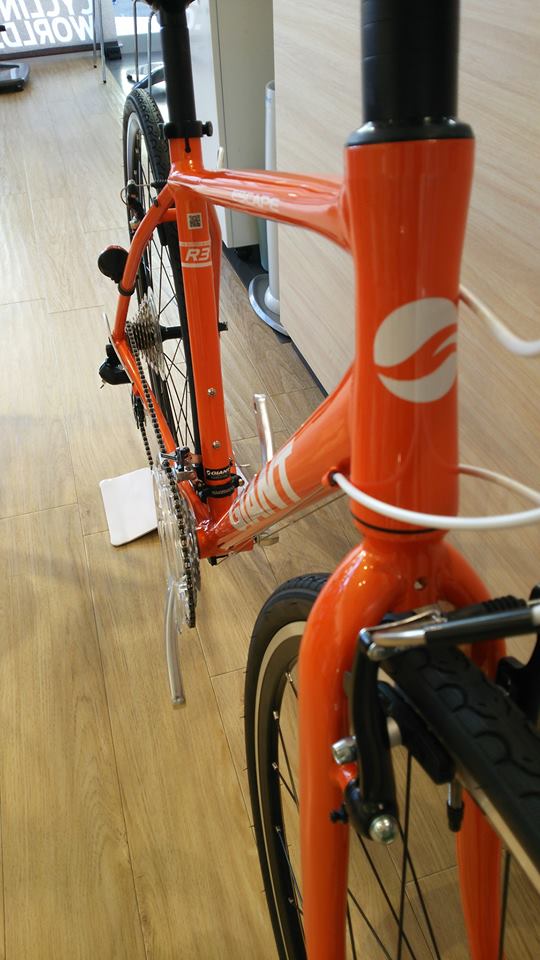 クロスバイク】コスパ最強！GIANTの看板クロスバイク ｜ ジャイアント