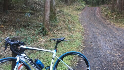 ジャイアントストアびわ湖守山 ｜ ジャイアントストアびわ湖守山の情報