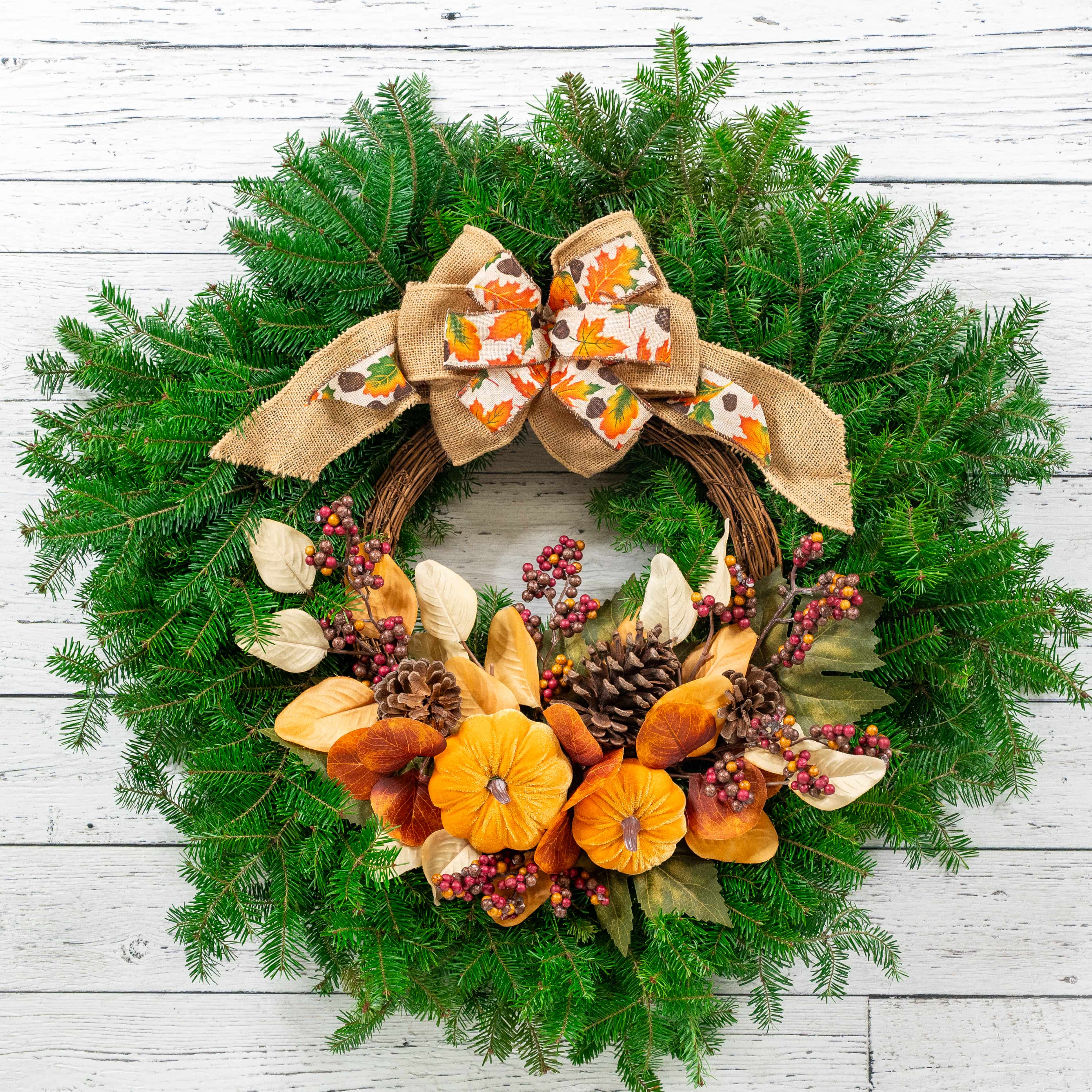 undefined - Gift It Forward