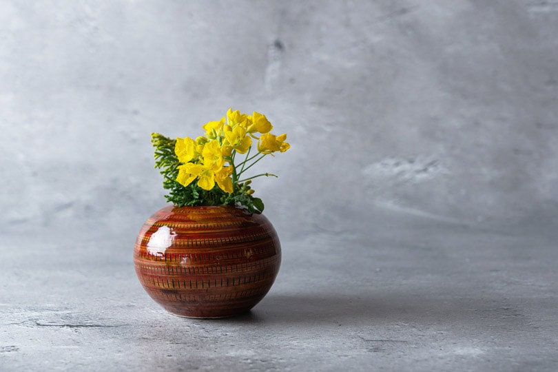 KOISHIWARA HOMES マルワ窯 花器（レッド）【S】 | メーカー,小石原焼