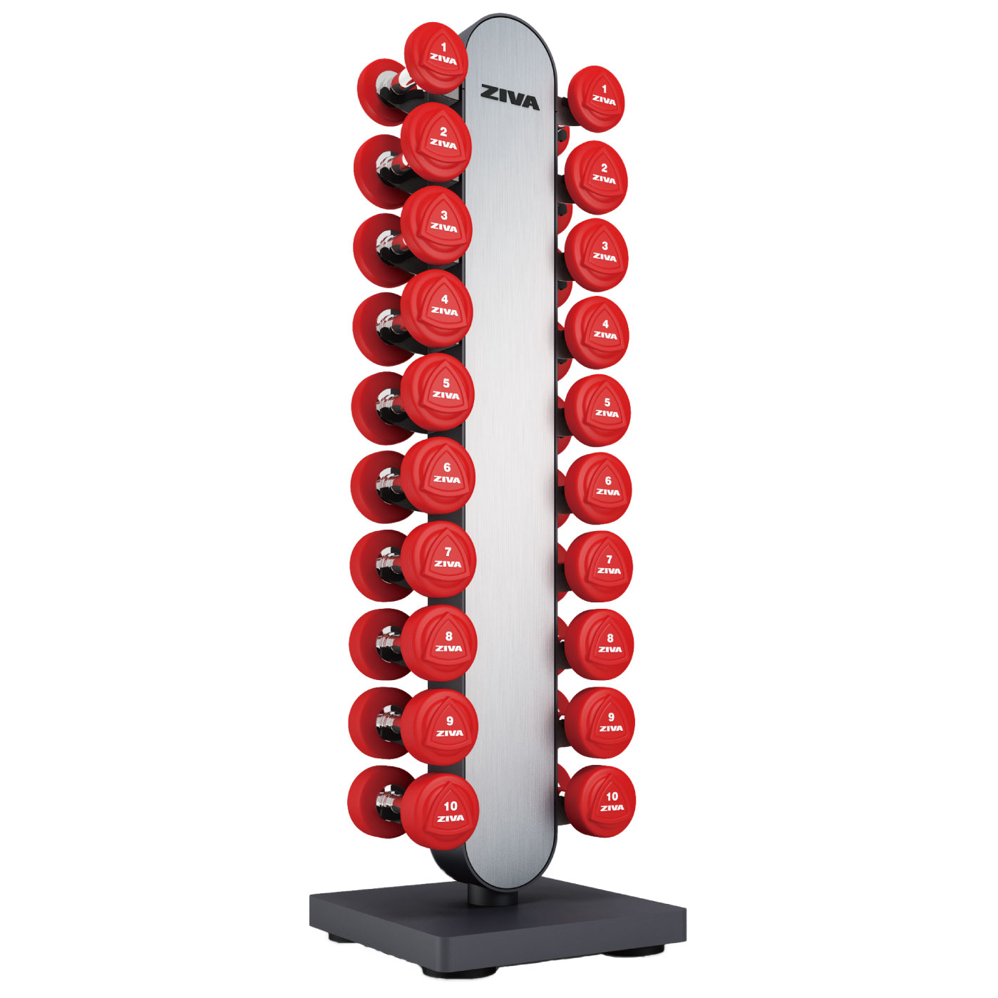 ソリッドウレタンダンベル10ペア＋EXスタジオバーティカルダンベル