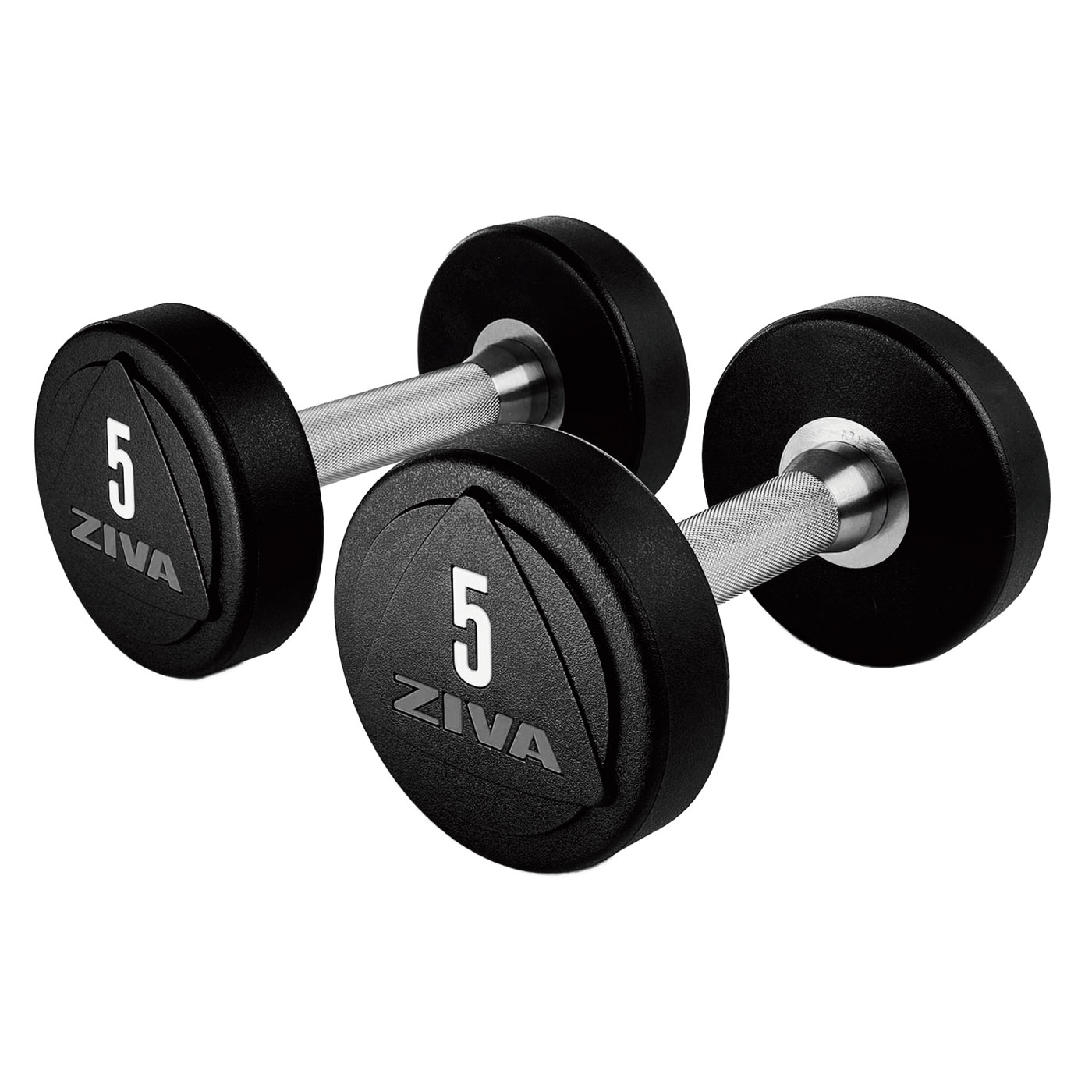 ZVO 1-10kg ソリッドウレタン ダンベル｜業務用ダンベル【ダンベル