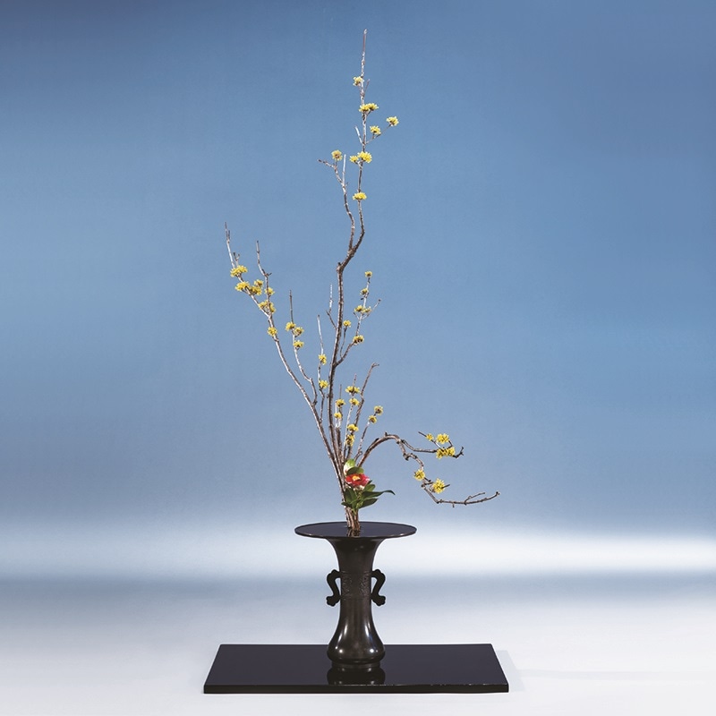 晴波(せいは) | 花器・花瓶,銅器 | フラワーショップ花楽