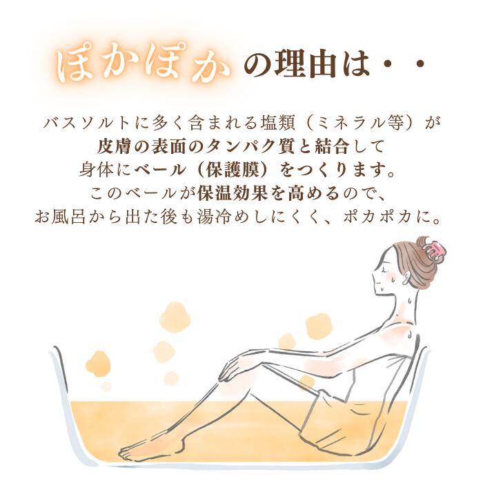 FG02】 元祖シーランマグマ風呂 (10袋入り)