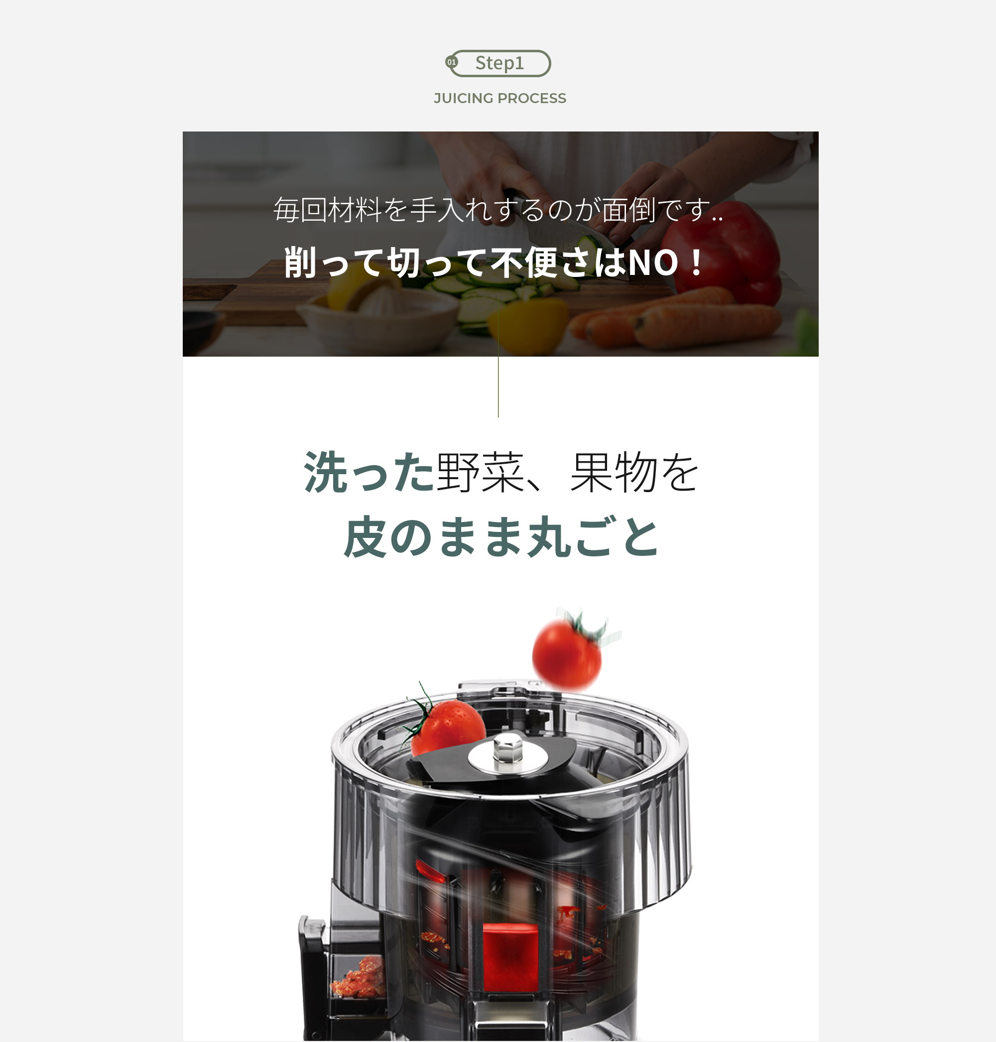 ヒューロムスロージューサー H70FT