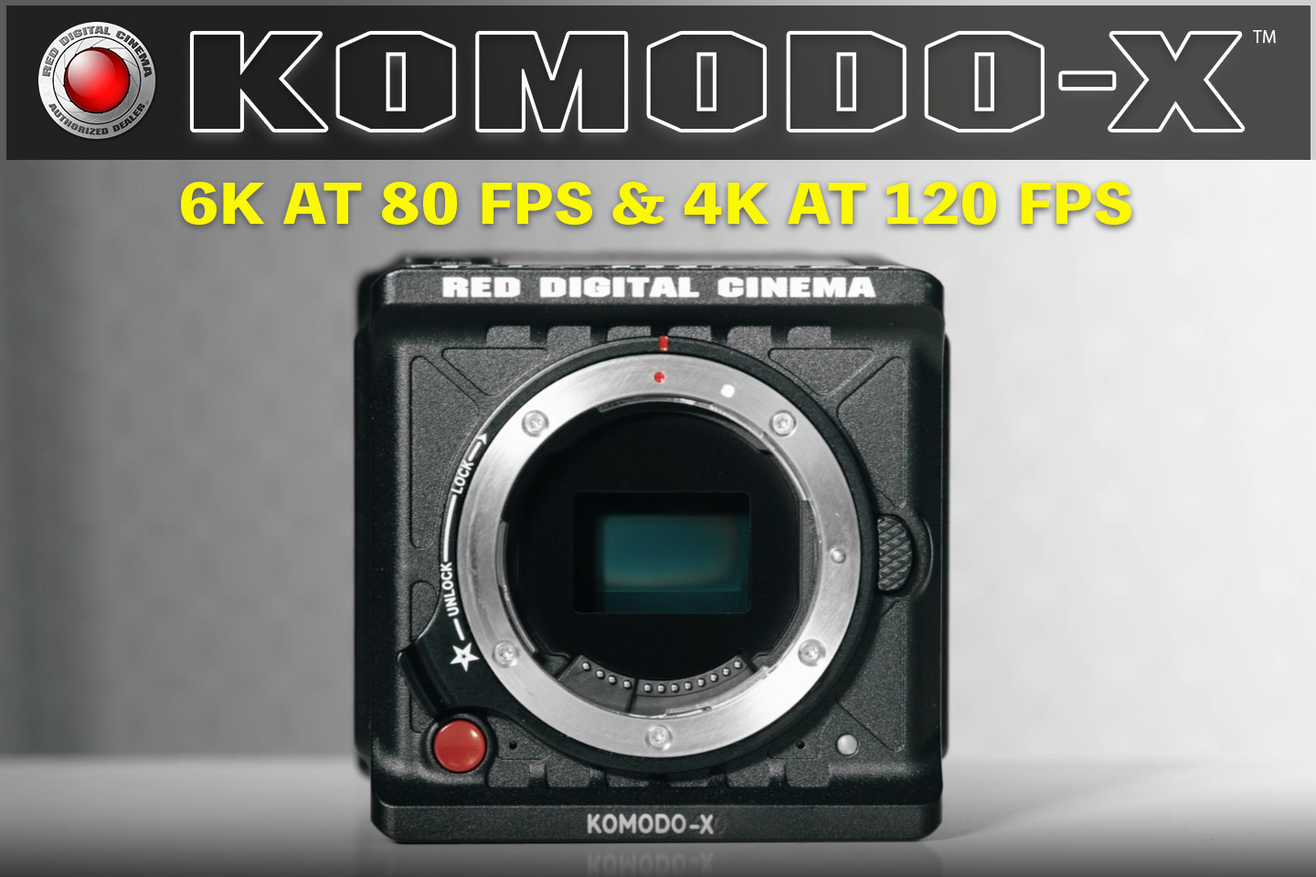 RED KOMODO-X (Normal) (Black)