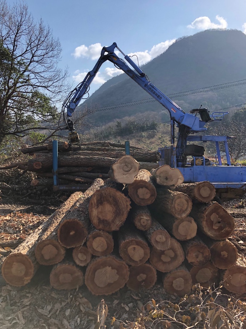 Kurage bar stool 01｜クラゲ バースツール 01 讃岐産クヌギ無垢材