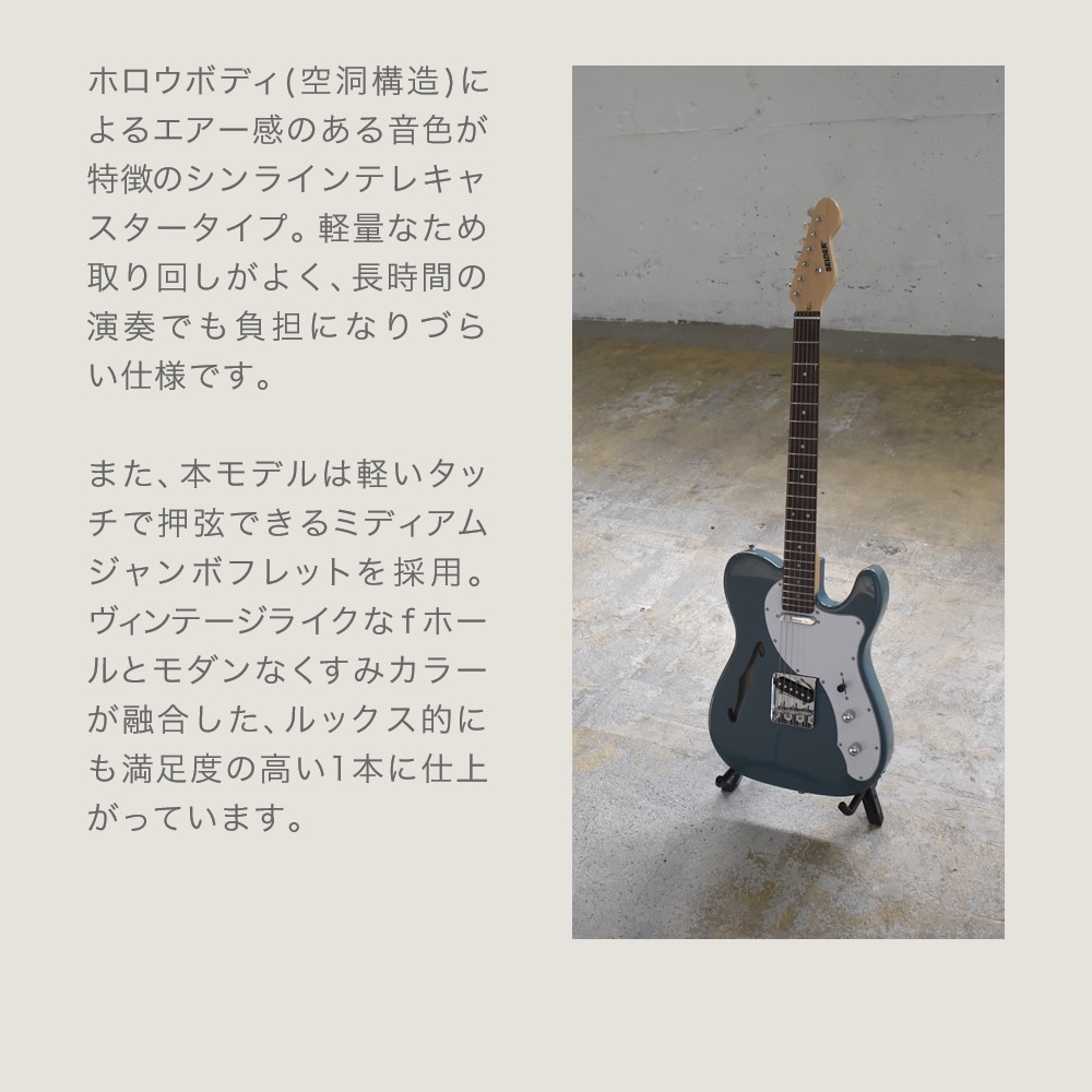 テレキャスターシンラインタイプ エレキギター SELDER TLT-20 ソフト