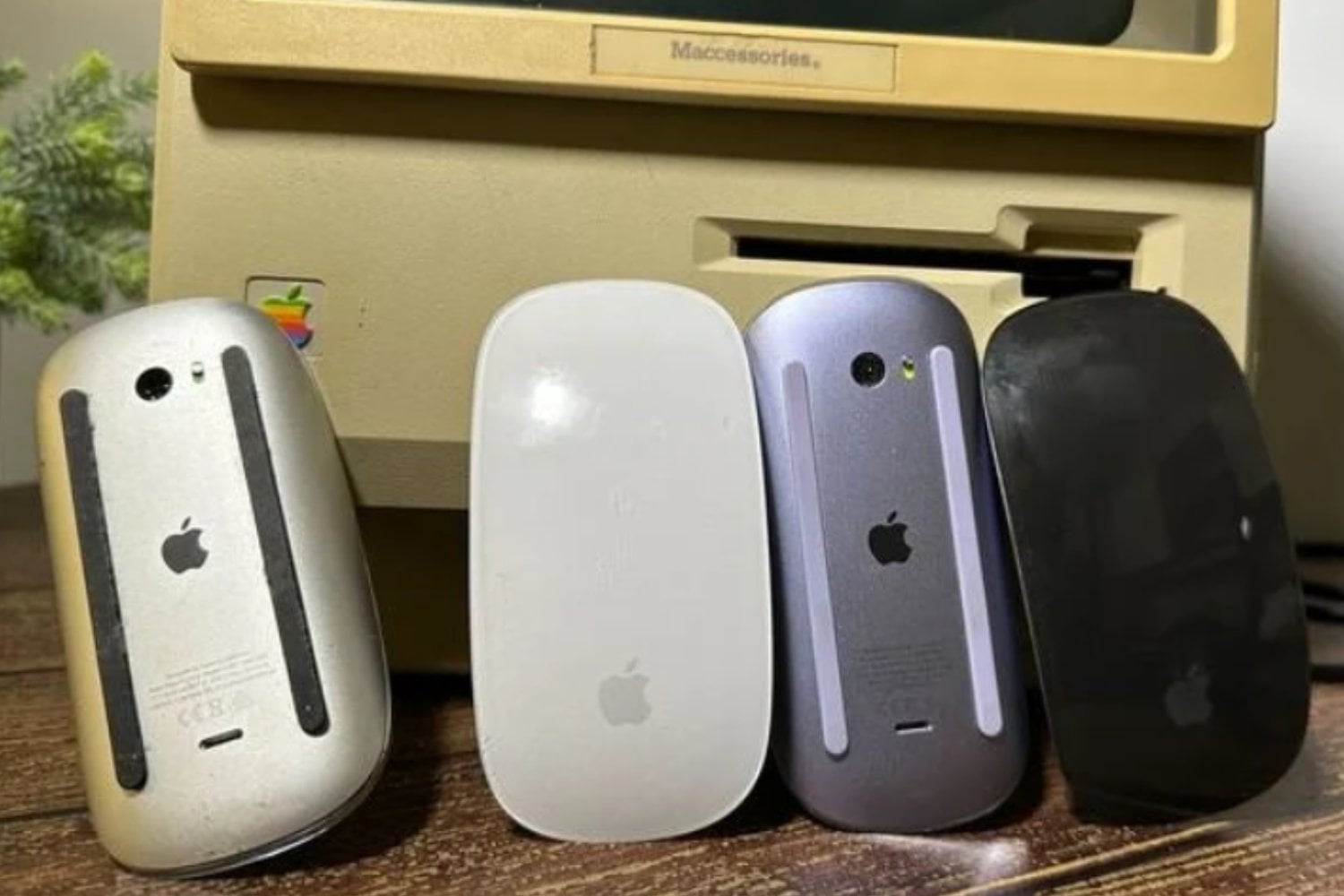 Apple Is Finally Refreshing Its Magic Mouse