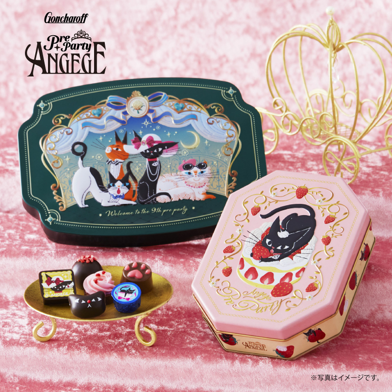 504 アンジュジュ D 10個 ゴンチャロフ アンジュジュ チョコレート