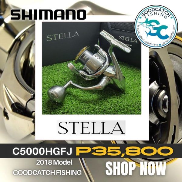 Shimano Stella C5000HG FJ 2018 Model – Goodcatch