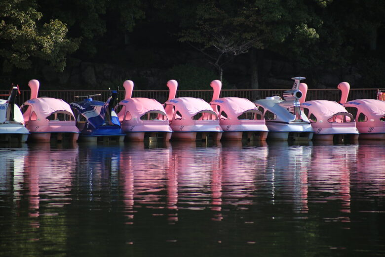 CANON EF75-300mm f4-5.6 iii レビュー:コスパ抜群の望遠ズームレンズ