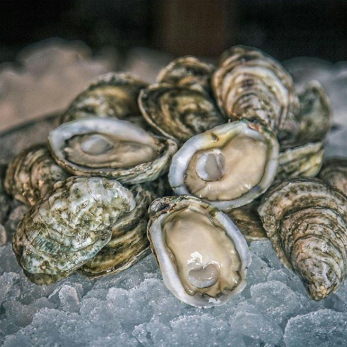 White Stone Oysters - 50 Pack by White Stone Oyster Company