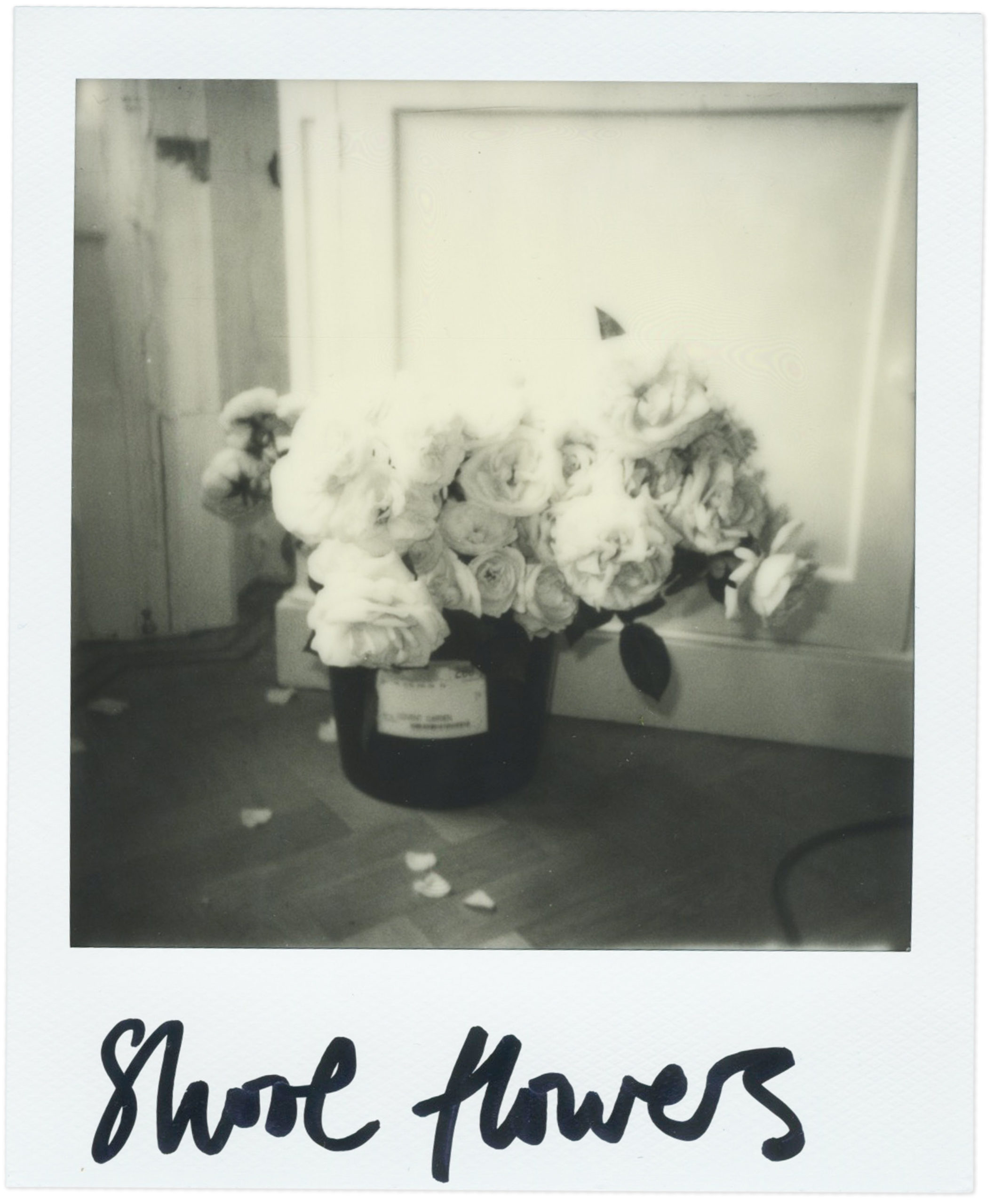 The Bigger Picture - Glorious Sport