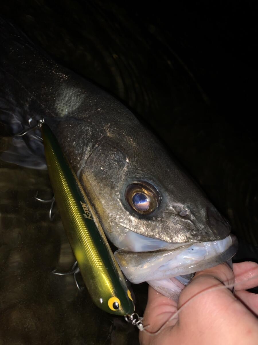 リップルポッパーWOOD!! | Go-Phish