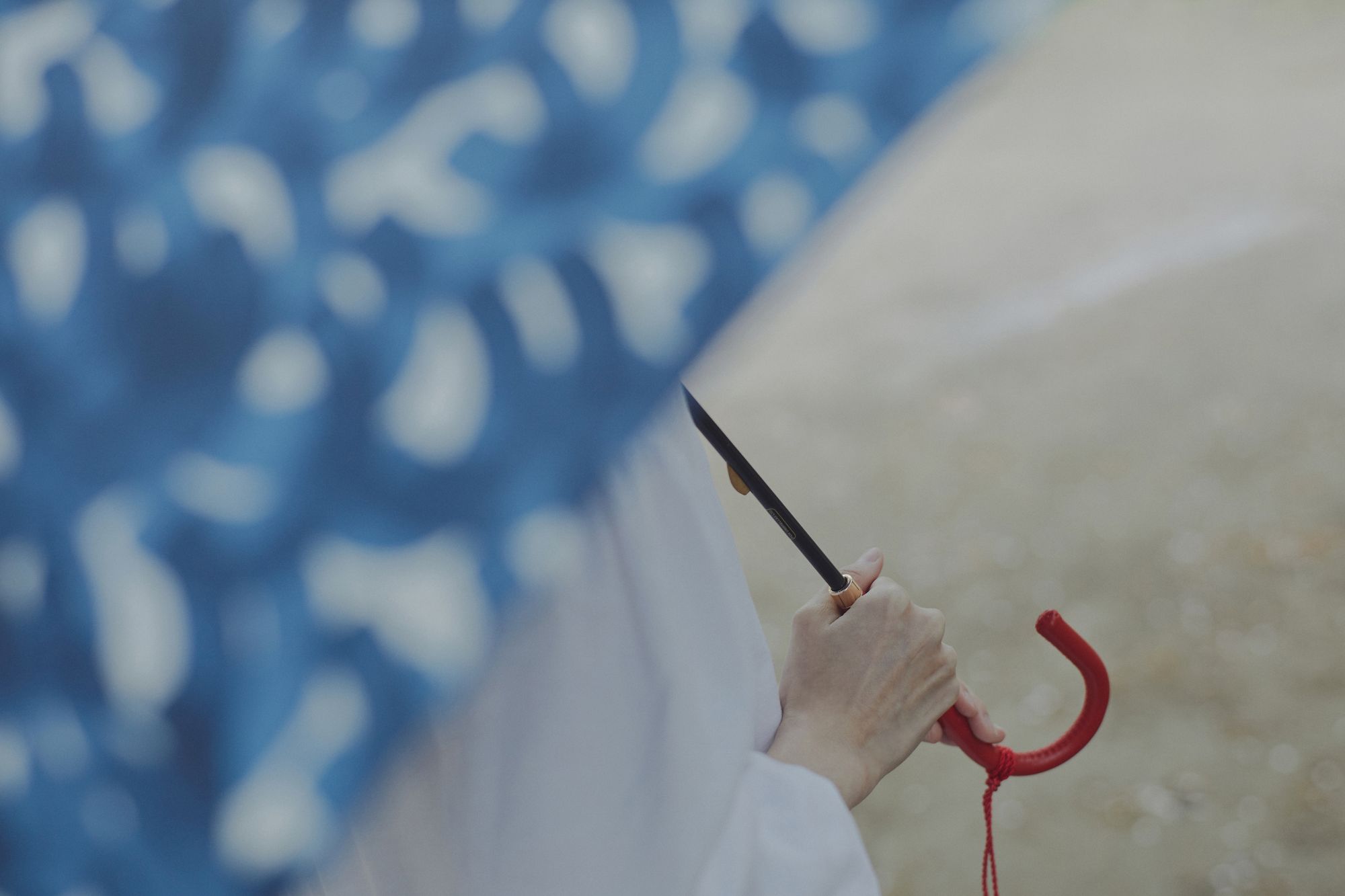 aalto 傘 - minä perhonen