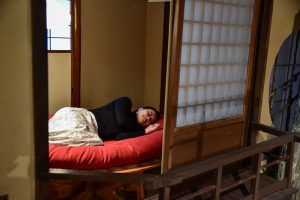 IWATA「人類進化ベッド」 - GRABLISS web plus