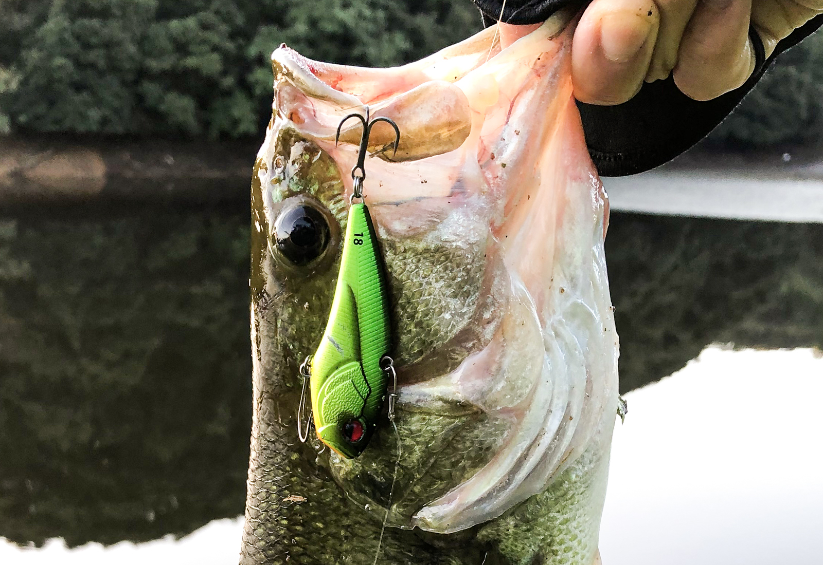 バス釣りルアーのカラー(色)選び、表にまとめてみた – Grassy Fishing