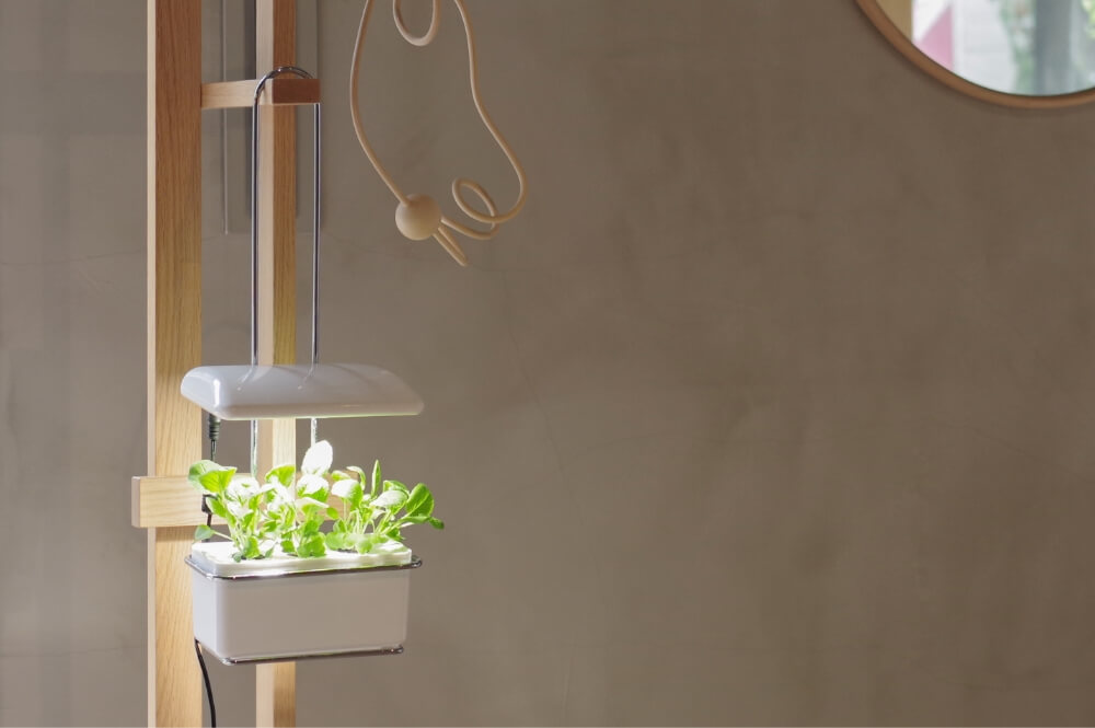 LED水耕栽培器「灯菜（アカリーナ）」で野菜を育ててみよう