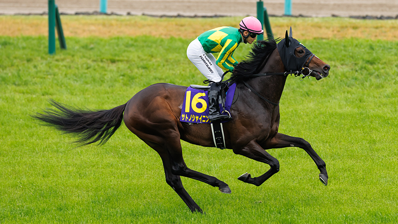 日本ダービー】36度目で初めて重賞未勝利のまま迎える大舞台 武豊と