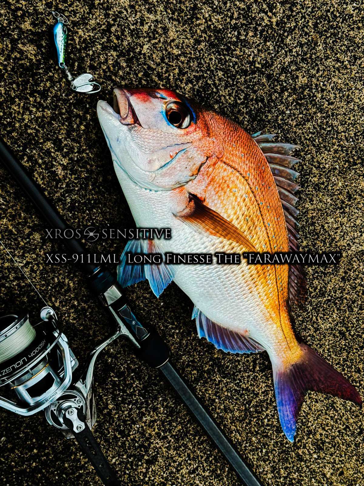 XrosSensitive XSS-911LML フォトギャラリー - G-TEC graphite technology